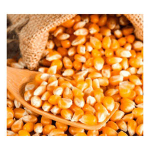 Maíz Amarillo Orgánico No Glutinoso, Libre de OMG, Secado al Sol, Mejor Precio al por Mayor, Alimento para Animales, 5 kg, 24 Meses de Vida Útil, Exportación de Maíz TZ - Product Image 5