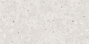 Proveedor y fabricante de baldosas de porcelana impresas digitalmente, Fabricación en la India para piscinas. - Product Image 3