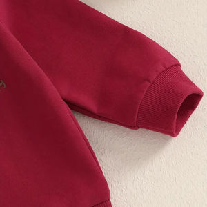 Personalizado primavera otoño bebé niños ropa dibujos animados bordado suelto Casual niños niñas sudadera - Product Image 5