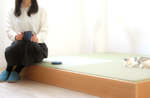 Sofá Tatami OASIS, Impermeable, de Polipropileno, Fácil de Limpiar, Diseño Moderno para el Hogar, Comedor, Sala de Estar, Dormitorio, Colores Estándar - Product Image 2