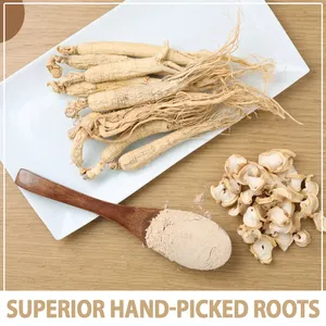 10:1 20:1 bubuk ekstrak <span class=keywords><strong>Ginseng</strong></span> Panax bubuk <span class=keywords><strong>Ginseng</strong></span> merah alami aditif makanan untuk Kesehatan Pria - Product Image 4