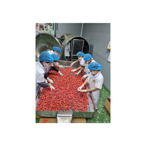 Chips de fraises séchées croustillantes collations de fruits lyophilisés sans sucre sans conservateurs riches en vitamine C fruits entiers biologiques adaptés - Product Image 3