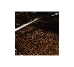 도매 전세계 배송 98% 성숙 자연 Robusta 녹색 커피 콩