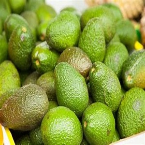 Nouvelle récolte d'avocat Hass biologique Variété fraîchement cultivée disponible à des prix agricoles - Product Image 3