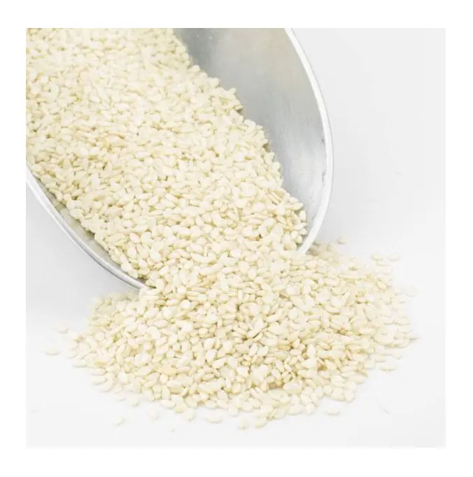 The most delicious sesame seeds rich nutty flavor small milky white seeds natural lean product