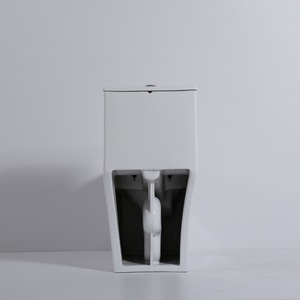 <span class=keywords><strong>Upc</strong></span> Mỹ ADA sàn phòng tắm gắn gốm siphonic tủ quần áo nước 305mm nhà vệ sinh kéo dài một mảnh nhà vệ sinh - Product Image 3