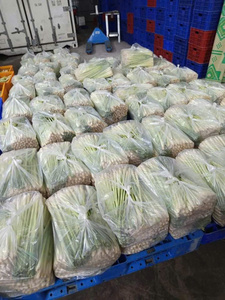 Vente en gros de citronnelle fraîche 100% sans taxe en provenance du Vietnam, produit agricole de qualité supérieure - Product Image 6