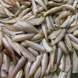 Sillago entier congelé IQF sous vide, durée de conservation de 24 mois, produit au Vietnam, qualité d'exportation pour les acheteurs de fruits de mer en gros dans le monde entier - Product Image 4