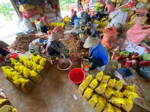 2025 CULTURE CASSIA CIGARETTE VIETNAM ÉPICÉ CANNELLE PRIX-BON PRIX CONTACT + 84 869981238 - Product Image 5