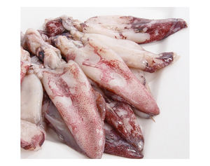 Savoureux 100% Calamars de calmars frais Ingrédients de Thaïlande Usine de calmars Fruits de mer surgelés séchés - Product Image 6