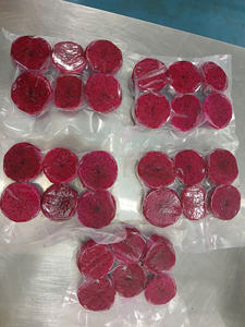 Fruit du dragon congelé du Vietnam, produit en vrac conçu pour la préparation de desserts à mélanger facilement et la production alimentaire commerciale - Product Image 2