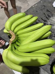 Bananes Cavendish savoureuses : fraîcheur garantie - Product Image 4