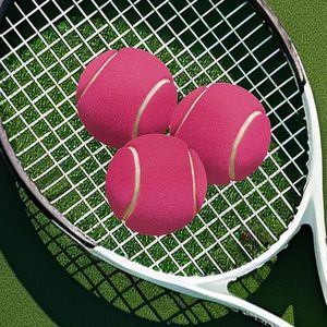 ลูกเทนนิสโต๊ะเล่นกีฬาคริกเก็ตลูกแบดมินตันของเล่นสุนัขขนาดเล็กลูกบอลเด้งสูง - Product Image 5