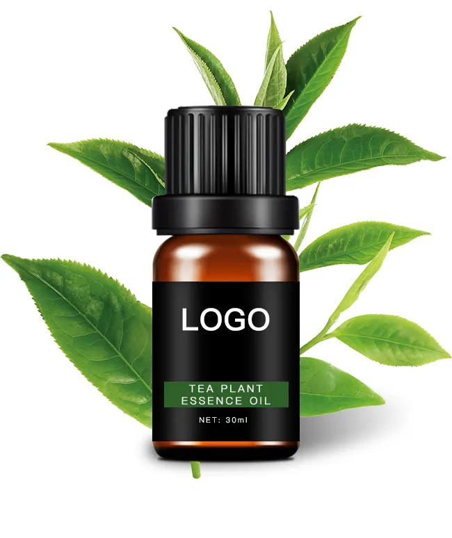 Atacado 100% Orgânico Puro Óleo Essencial 10ml Tea Tree Fragrância Cabelo Rosto Massagem Corporal Óleos