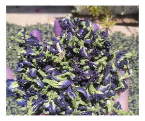 Fleur de pois papillon séchée du Vietnam de haute qualité, plus des fleurs comestibles assorties pour les infusions, les boissons et la coloration alimentaire - Product Image 1