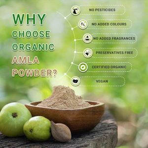 Poudre d'Amla biologique provenant d'un fabricant indien, de la meilleure qualité, fournie par des fournisseurs de poudre d'Amla - Product Image 2