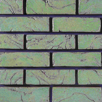 Briques d'argile naturelle de qualité supérieure pour façades extérieures et intérieures solides à haute porosité excellentes pour les briques réfractaires