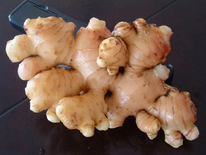 Jengibre Fresco |   Suministro de Fábrica |   Exportadores de Jengibre Premium - Product Image 5