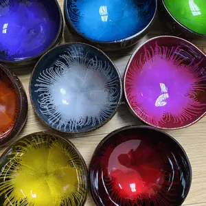 彩色烤漆椰子碗外壳/椰子碗/椰子杯装饰创意椰子产品-越南制造