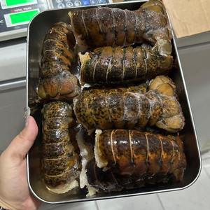 Langosta entera congelada a precio mayorista, compre hoy y disfrute de una entrega rápida para productos frescos - Product Image 4