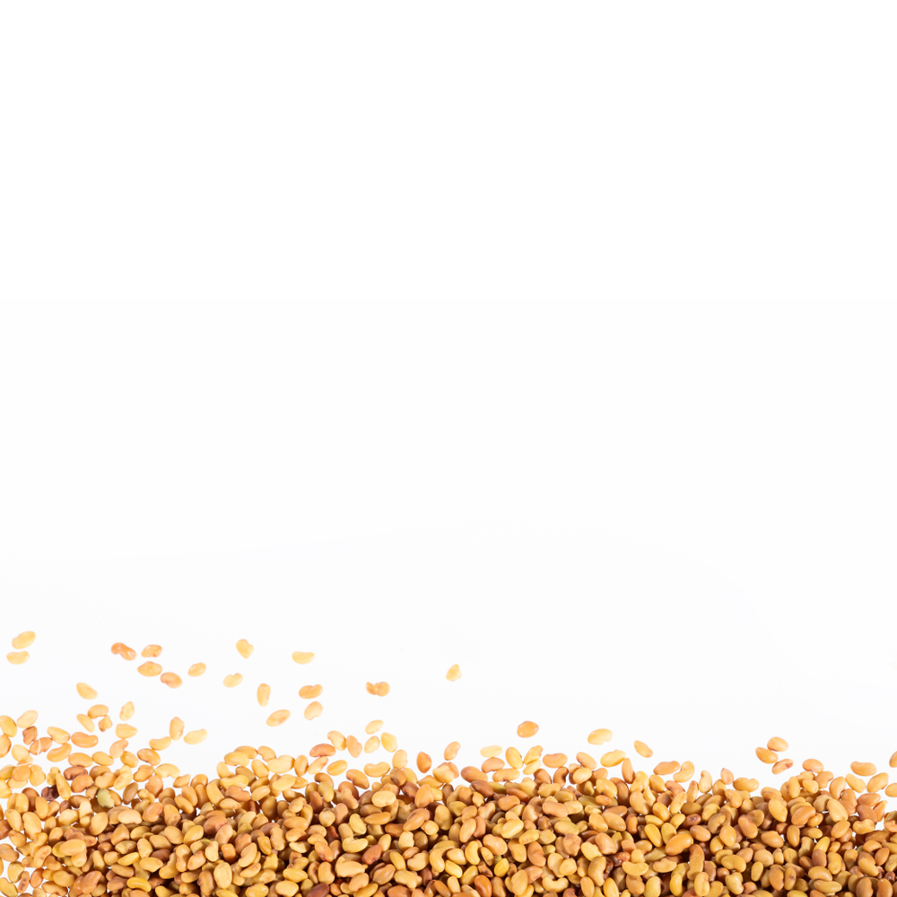 How to Choose the Best Grains and Seeds for Animal Feed: A Complete Guide