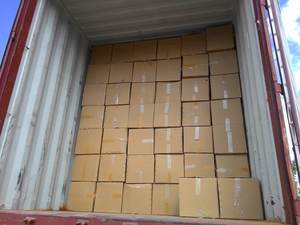 Producto de concha marina natural de concha de cauri dorada pulida de alta calidad de Vietnam con precio competitivo para animales al por mayor - Product Image 6