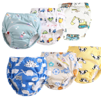 Culottes d'apprentissage de la propreté pour bébé, en coton, unisexe, durables, avec noyau absorbant non toxique, pour usage de jour et de nuit, 2-6 ans, taille élastique