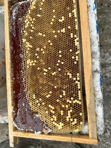 Delicia de la Colmena a la Mesa: Panal de Miel Cruda, Cosechado de Forma Sostenible, Brinda Dulzura Pura, para los Amantes de la Comida Ecológica a Diario - Product Image 3