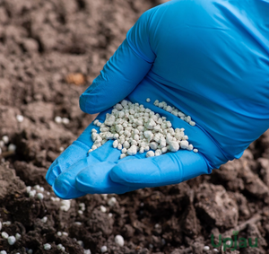 NPK 28-5-5 Fertilizante Compuesto de Liberación Controlada Bajo Cloruro Soluble en Agua Rápida y Lenta PARA EL Crecimiento Óptimo DE LOS Cultivos - Product Image 2