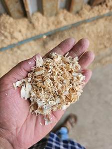 Copeaux de bois de pin de haute qualité pour la literie de stalle de cheval | Matériau de literie pour animaux propre, doux et écologique prix bon marché - Product Image 2