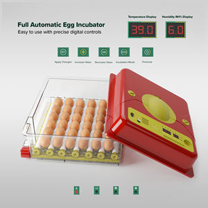 Mejor <span class=keywords><strong>Precio</strong></span> en el Mercado Incubadora <span class=keywords><strong>de</strong></span> <span class=keywords><strong>Huevos</strong></span> con Capacidad para 36 <span class=keywords><strong>Huevos</strong></span> <span class=keywords><strong>de</strong></span> Gallina - Product Image 2