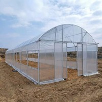 Serre agricole de 100 mètres pour tomates, kit complet avec film plastique pour serres agricoles