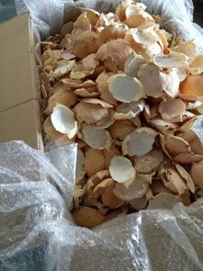 หอยปูแห้งใช้งานได้หลากหลายสำหรับตกแต่งอาหารเทคนิคการวาดลายเวียดนามแบบแขวน - Product Image 3