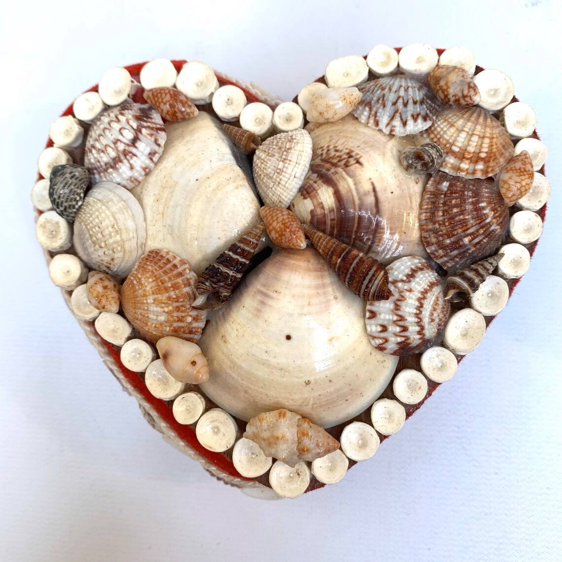 มีสีสัน