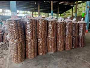 น้ำตาลปาล์มออร์แกนิคพรีเมียมแบบผง บรรจุ 1 กก. ขายส่งจากจาวาตอนกลาง อินโดนีเซีย น้ำตาลปาล์ม AGP - Product Image 6