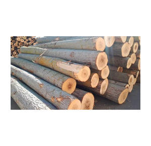 Troncos de Álamo de Calidad A/B/C con Diámetro Promedio de 25-45 cm para Producción de Madera y Industrias de Carpintería, Venta al Por Mayor - Product Image 2