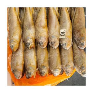 Corvina แช่แข็งอาหารทะเลสดพรีเมียมขายส่งจำนวนมาก - Product Image 6