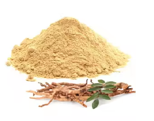 Polvo de extracto de Tongkat Ali al por mayor de fábrica de La India con etiqueta privada - Product Image 5