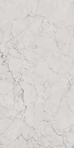 Haute Qualité Inde Fabricant Premium 600x1200mm Porcelaine Poli Carreaux Sculpture Granit Conception Pour Salle De Bains Style Chinois - Product Image 5