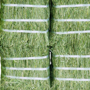 Alta calidad Alfalfa Rhodes Grass Fardos de heno Exportación de calidad Aditivo para piensos para peces Perros Ganado Ovejas Caballos Conejos - Product Image 5