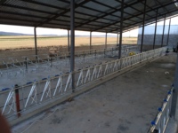 Nouveaux systèmes d'alimentation pour bétail Kocaksan-Sayginlar, système de verrouillage pour mangeoire animale, insertion bidirectionnelle, galvanisé/non peint noir