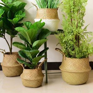 Hand Woven <b>Rattan</b> Large <b>Laundry</b> <b>Basket</b> Sea Grass <b>Basket</b> Pots <b>Basket</b> Seagrass Flower Pot with Handle Hand Woven Indoor - Product Image 6