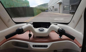 Tricycle électrique fermé sans permis requis pour les trajets urbains en famille de courte durée - Product Image 4