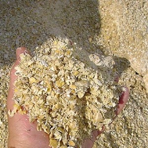 Organic Combi Crop <b>Feed</b> Grade for Dogs Barley & Peas Animal Nutrition Supplement - Product Image 5