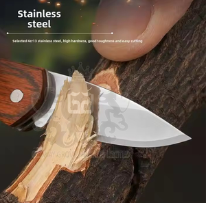 Couteau pliant de haute qualité en acier 3cr13, manche en plastique, style bouton poussoir, multifonctionnel, personnalisable OEM, couteau de camping - Product Image 2