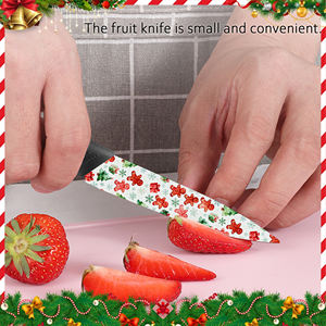 Couteau de poche de chef en céramique super tranchant, 4 ensembles, pliable, pour les aventures en plein air, la randonnée, manche en plastique, vente chaude, prix d'usine, Ebay - Product Image 6