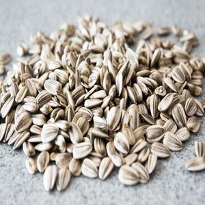 Graines de tournesol noires rayées séchées en vrac, 100% naturelles, qualité A, durée de conservation de 24 mois, en provenance du Brésil, pour la consommation humaine - Product Image 4