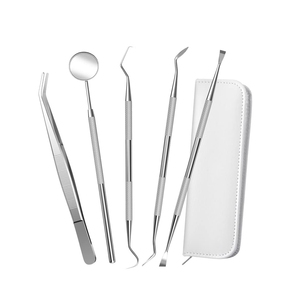 Kit de higiene dental Producto caliente Alta calidad Mejor venta en 2024 Kit de diagnóstico de examen básico dental de acero inoxidable Precio bajo - Product Image 3