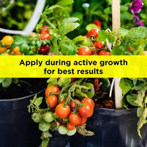 Titan Agritech Sonja Gold 30% Bioestimulante Líquido 1kg Extracto de Algas Marinas de Grado Alimenticio, Estimula el Sistema Radicular y la Movilidad de Nutrientes - Product Image 5