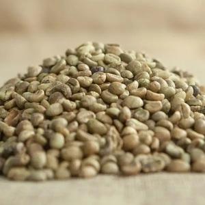 Café vert Robusta de qualité supérieure, abordable, 100% naturel et pur, meilleur prix d'usine, achetez maintenant ! - Product Image 1